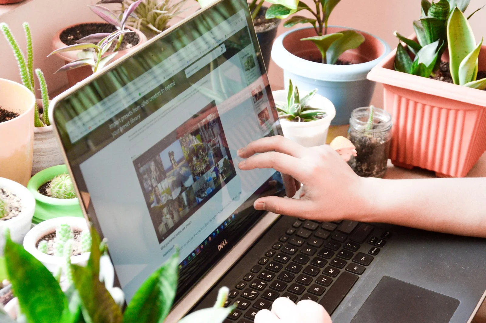 Personne consultant son compte personnel de formation sur un ordinateur portable